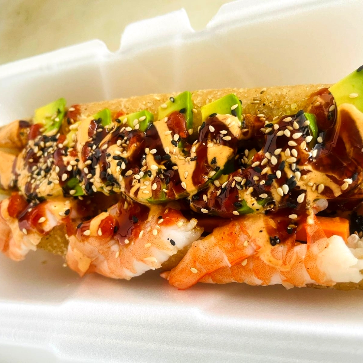 CIELO MAR Y TIERRA DOG