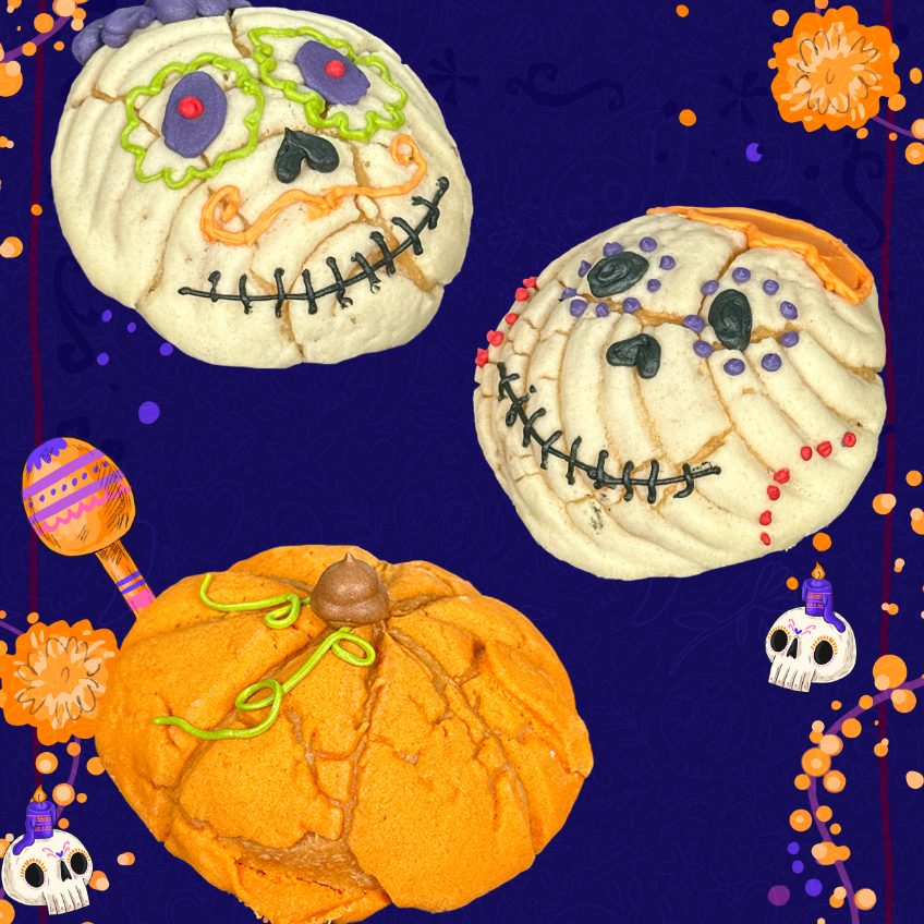 Concha muerto