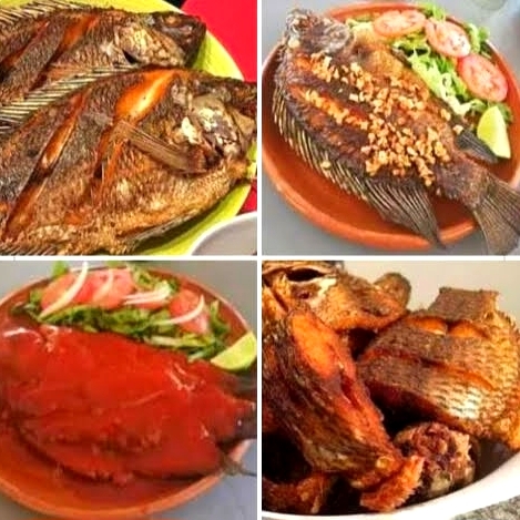 Mojarra Grande por Orden