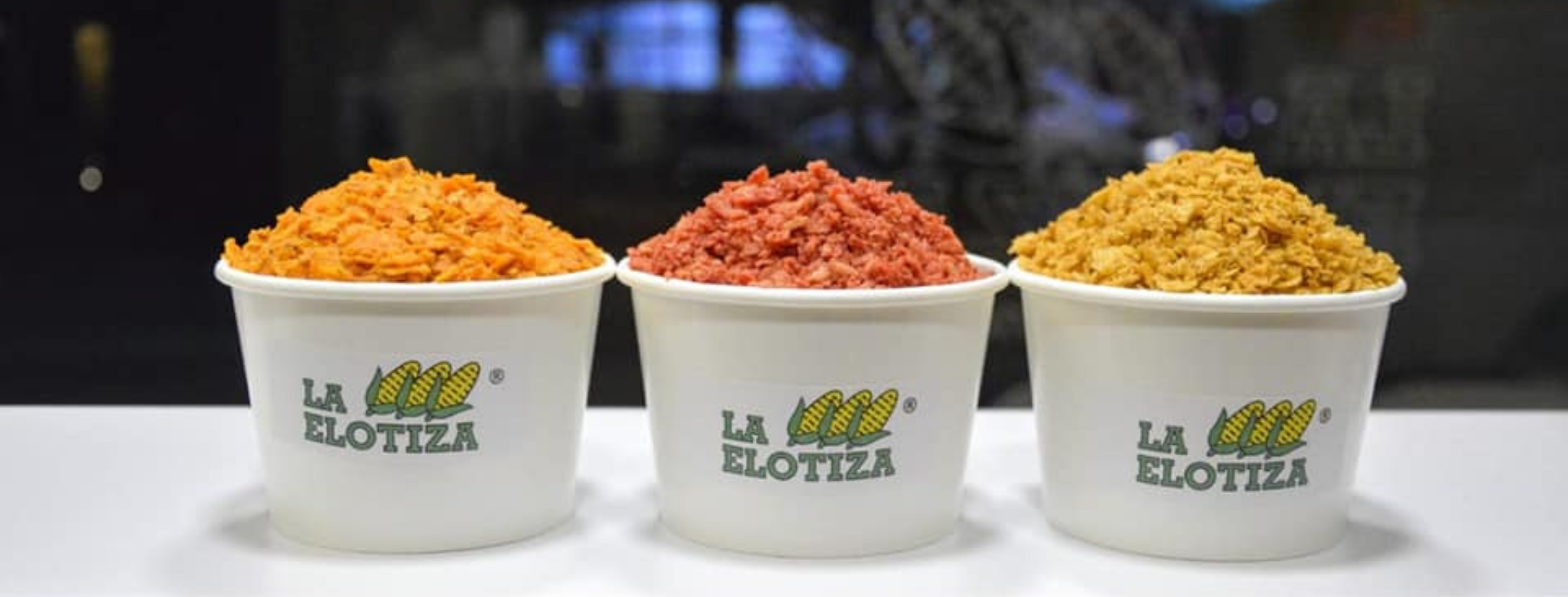 La Elotiza (Chapultepec)