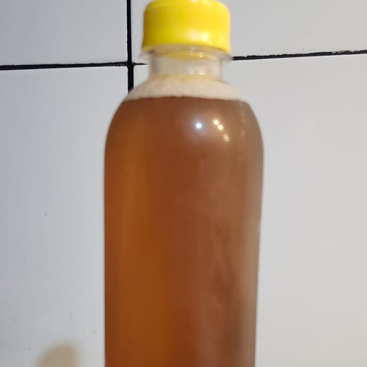 Té de la Casa 600 Ml