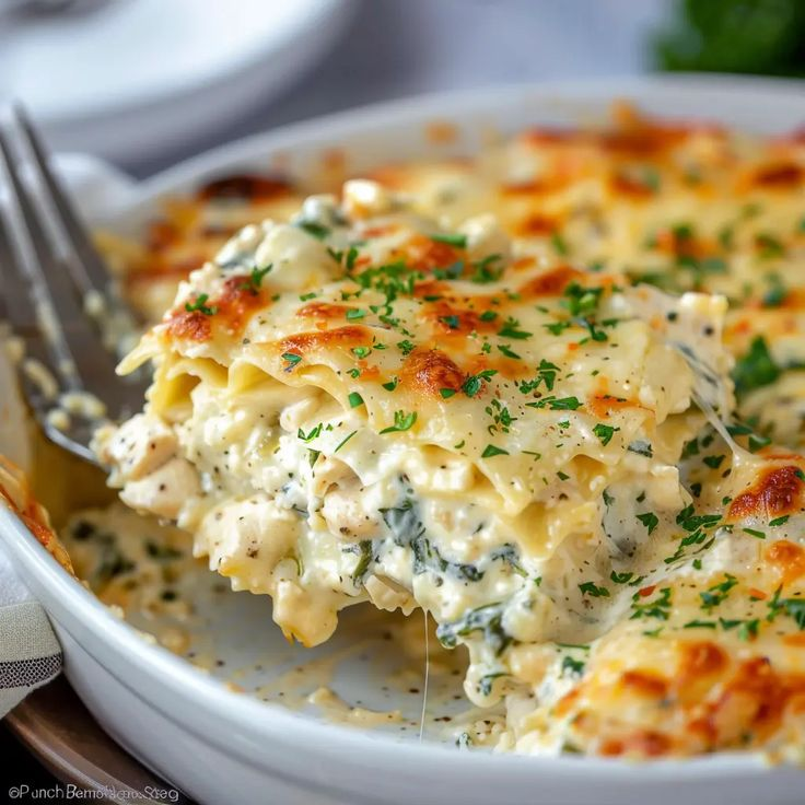 Lasagna Alfredo