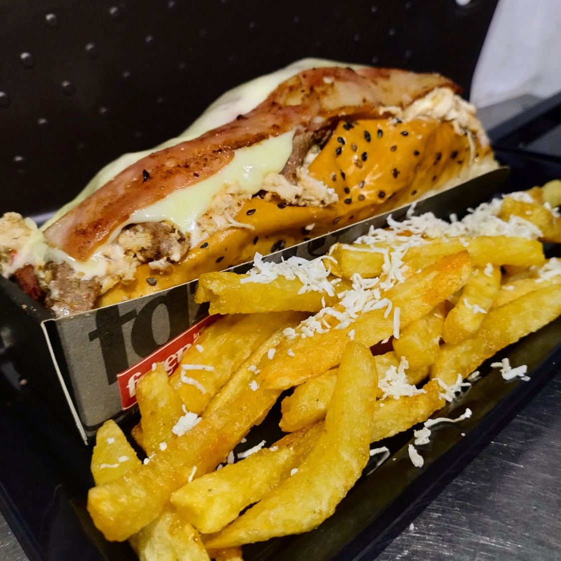Perro Mixto