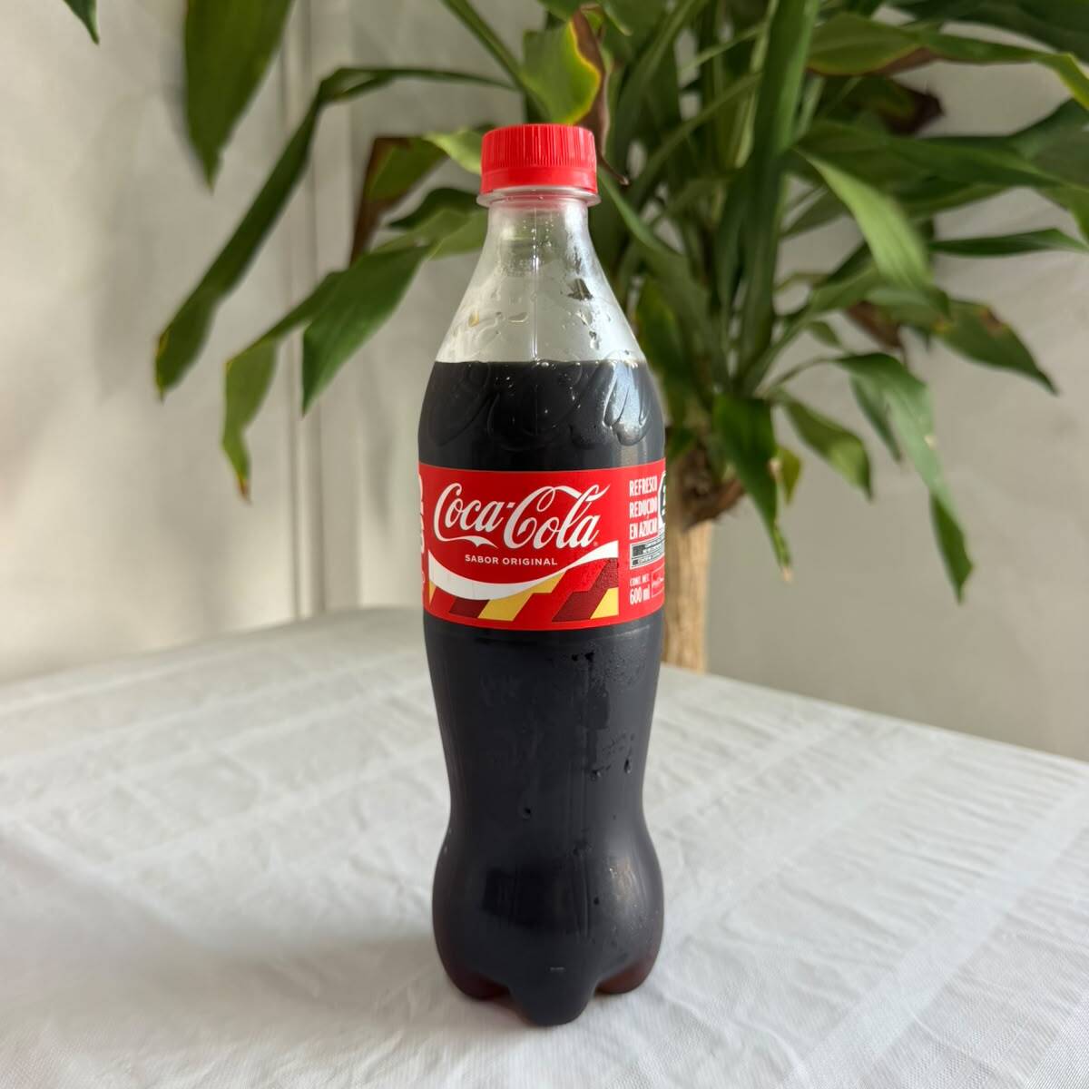 Coca Cola 600 ml