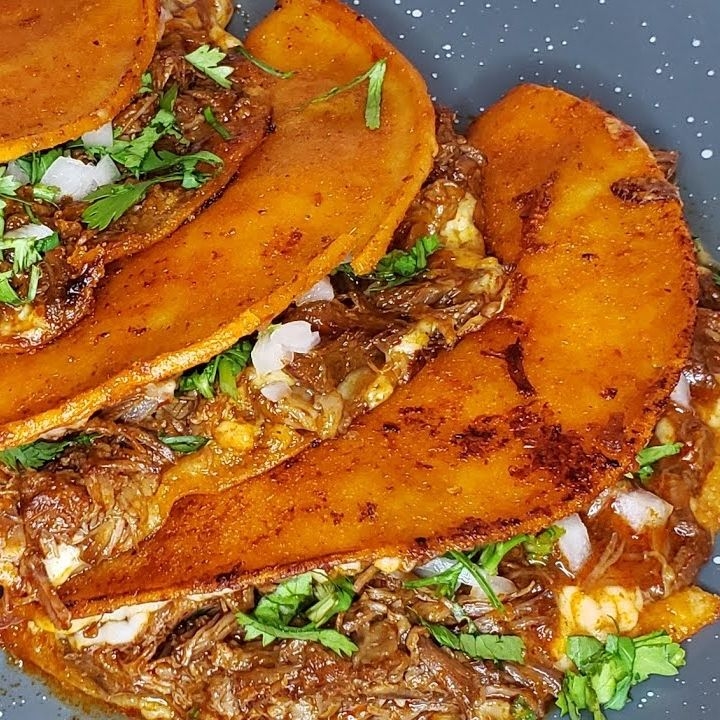 Quesibirria ( elige tu favorita )
