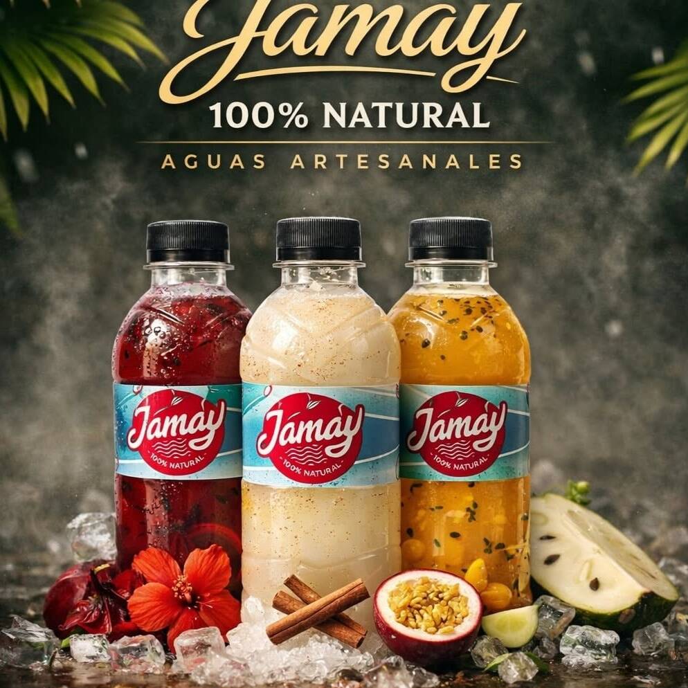 Aguas de Sabores (500ml)