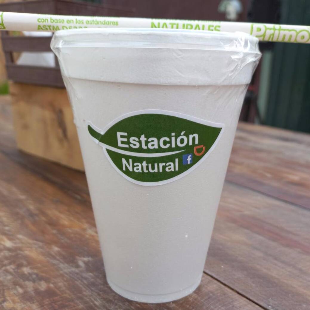 Licuado de Melón