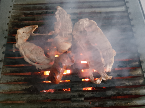 ASADA SANTACRUZ