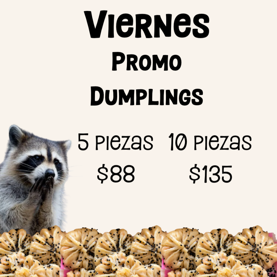 promo 10 dumplings