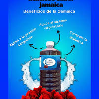 Agua coliman jamaica 1litro