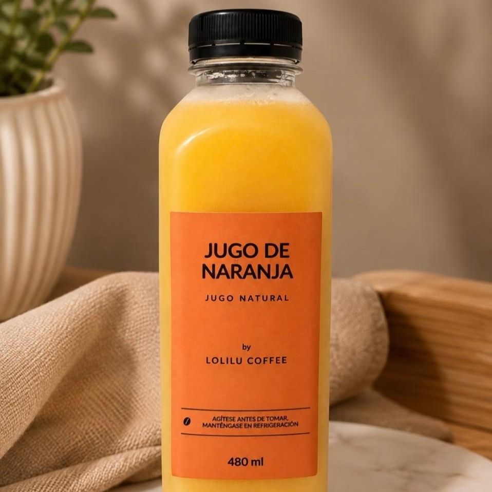 Jugo de Naranja 480ml