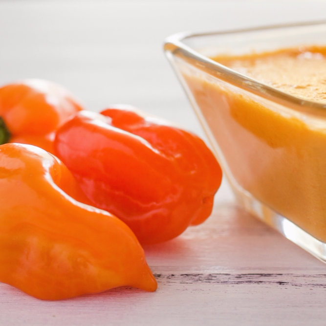 Salsa Habanera