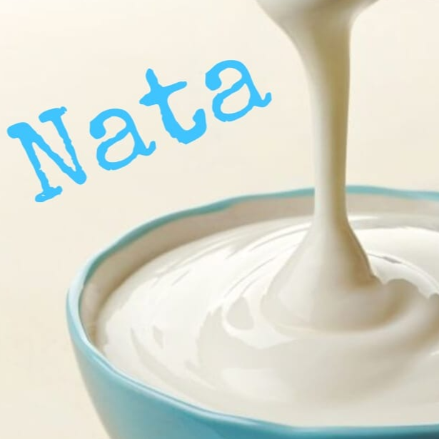 Nata de Leche Tamaño Familiar 400 Gr