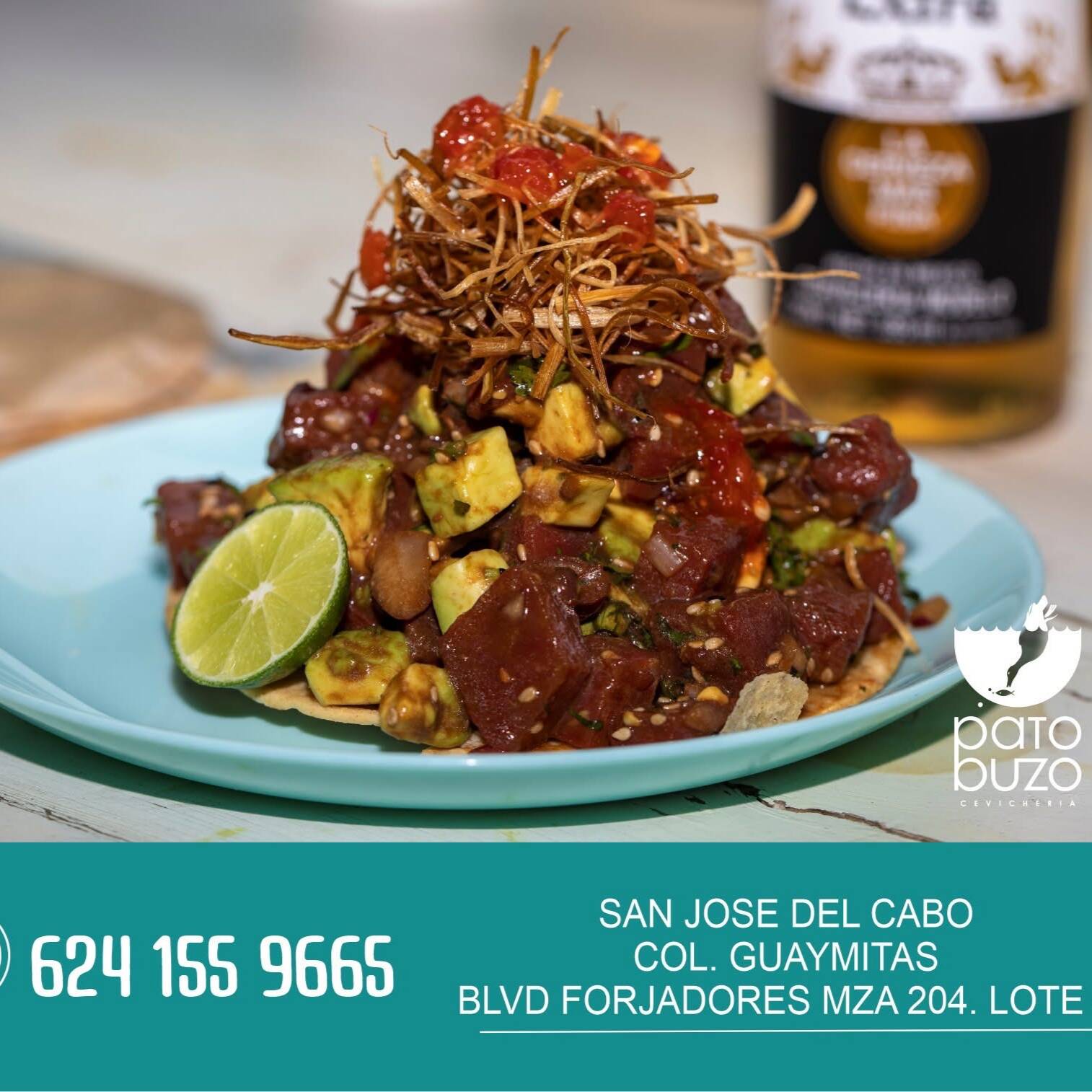 Ceviche Michin