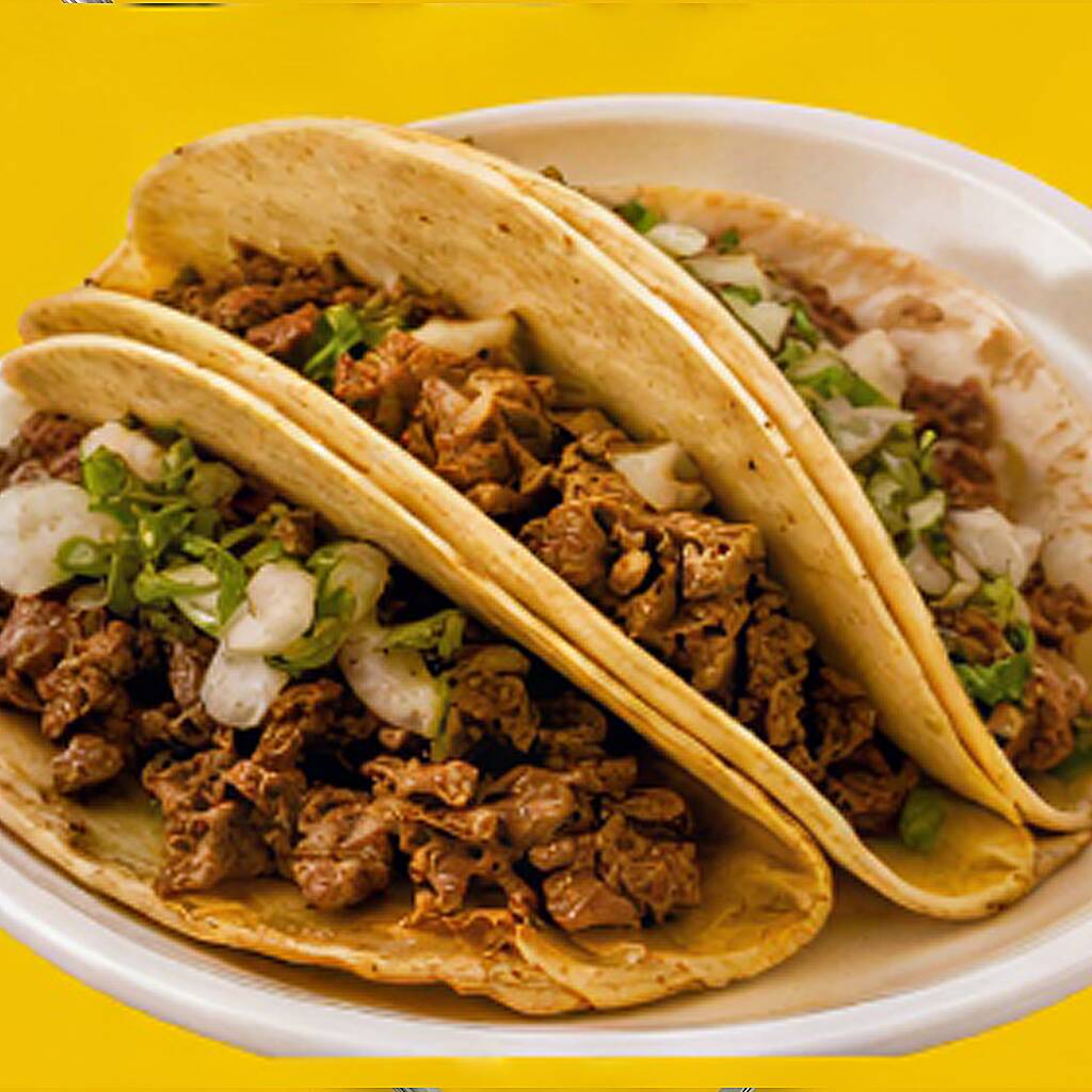 Taco Birria Harina