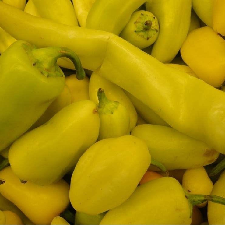 CHILE GUERO