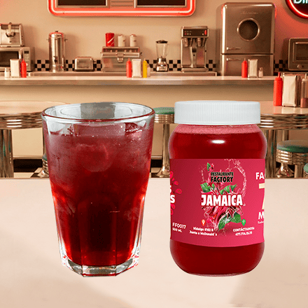 Agua de Jamaica FF 500 ml