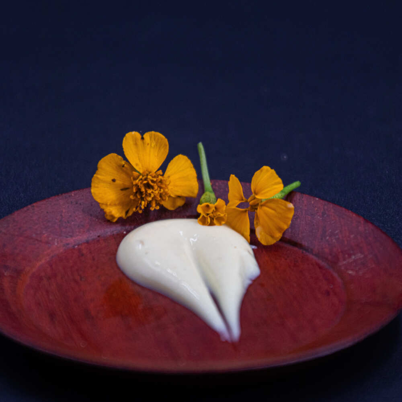 Salsa del Monje Errante