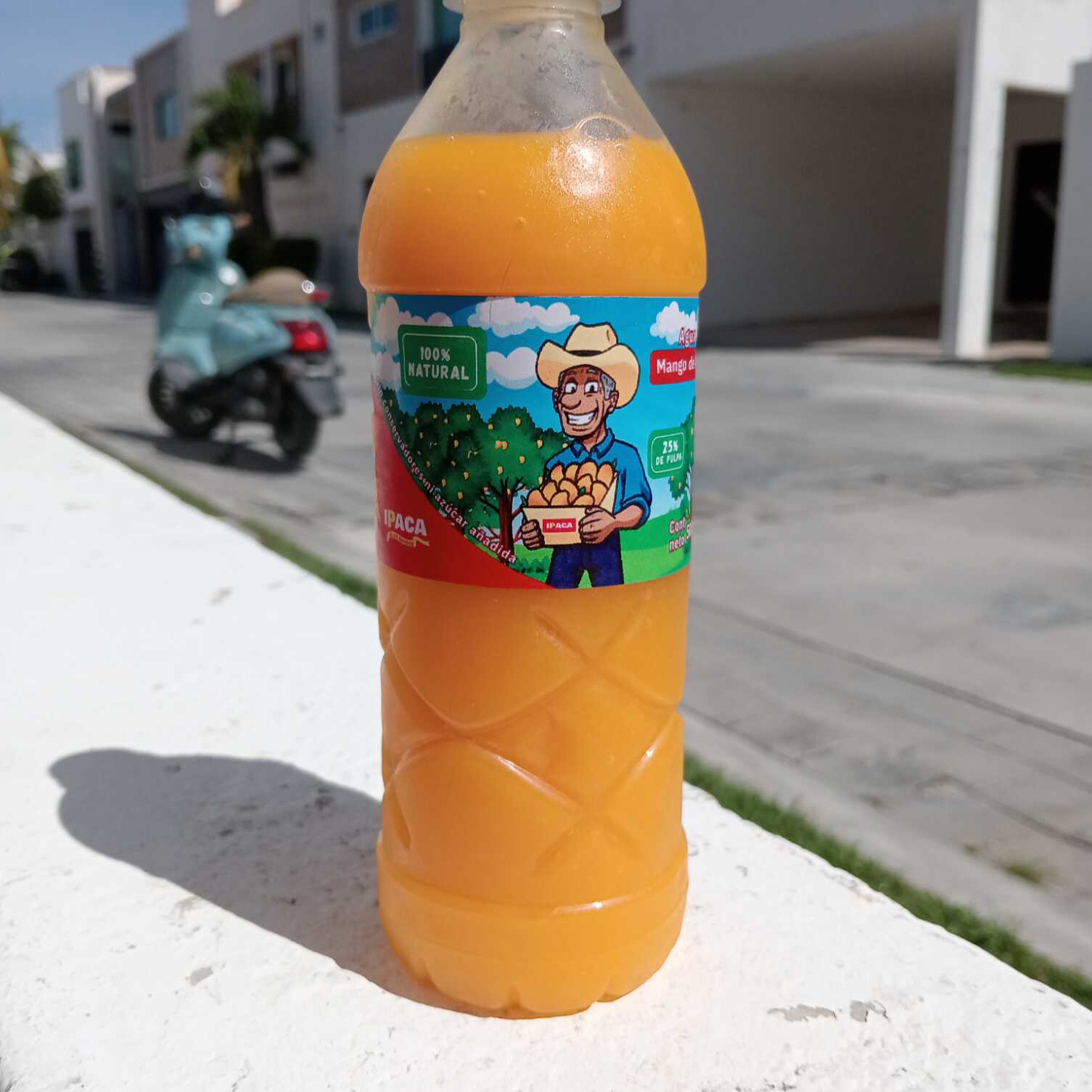 Mango Pájaro 500 ML