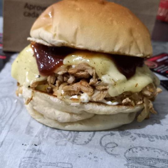 Pão selado na manteiga, 2 carnes bovinas de 55g, catupiry, frango desfiado, salada rica e molho especial.