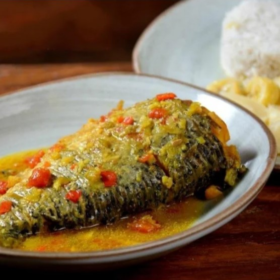 Bocachico