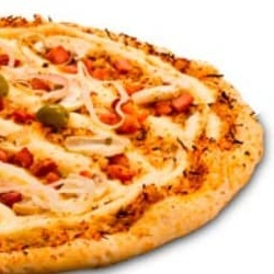 Frango desfiado, requeijão da casa, bacon e cebola