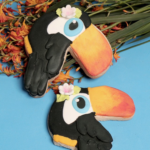 Galleta de tucán