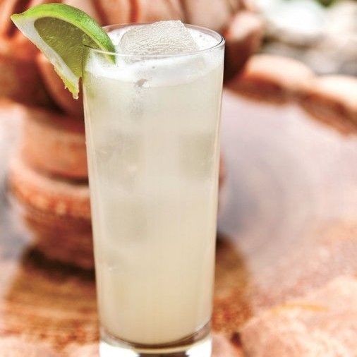 PALOMA TRADICIONAL 500ML