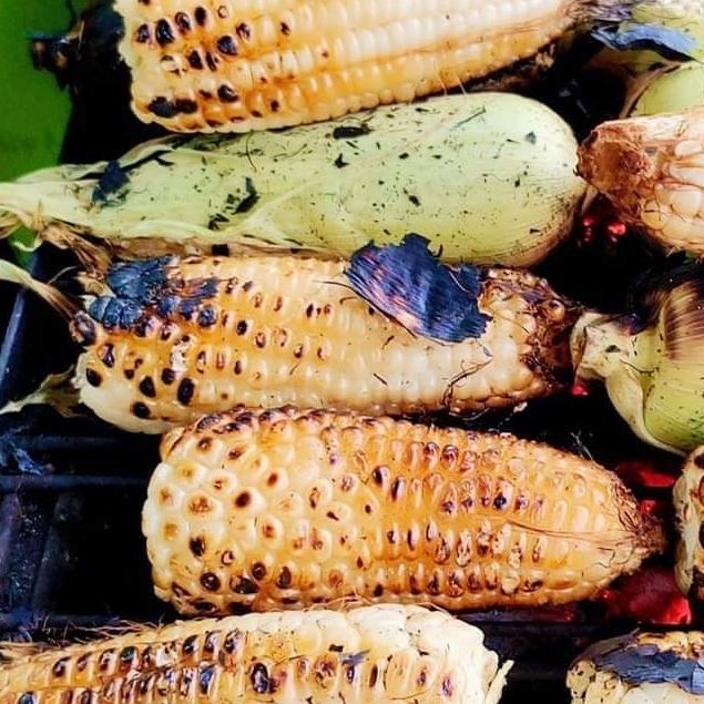 Elote Asado (cacahuazintle)