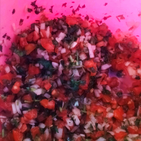 verdura mexicana