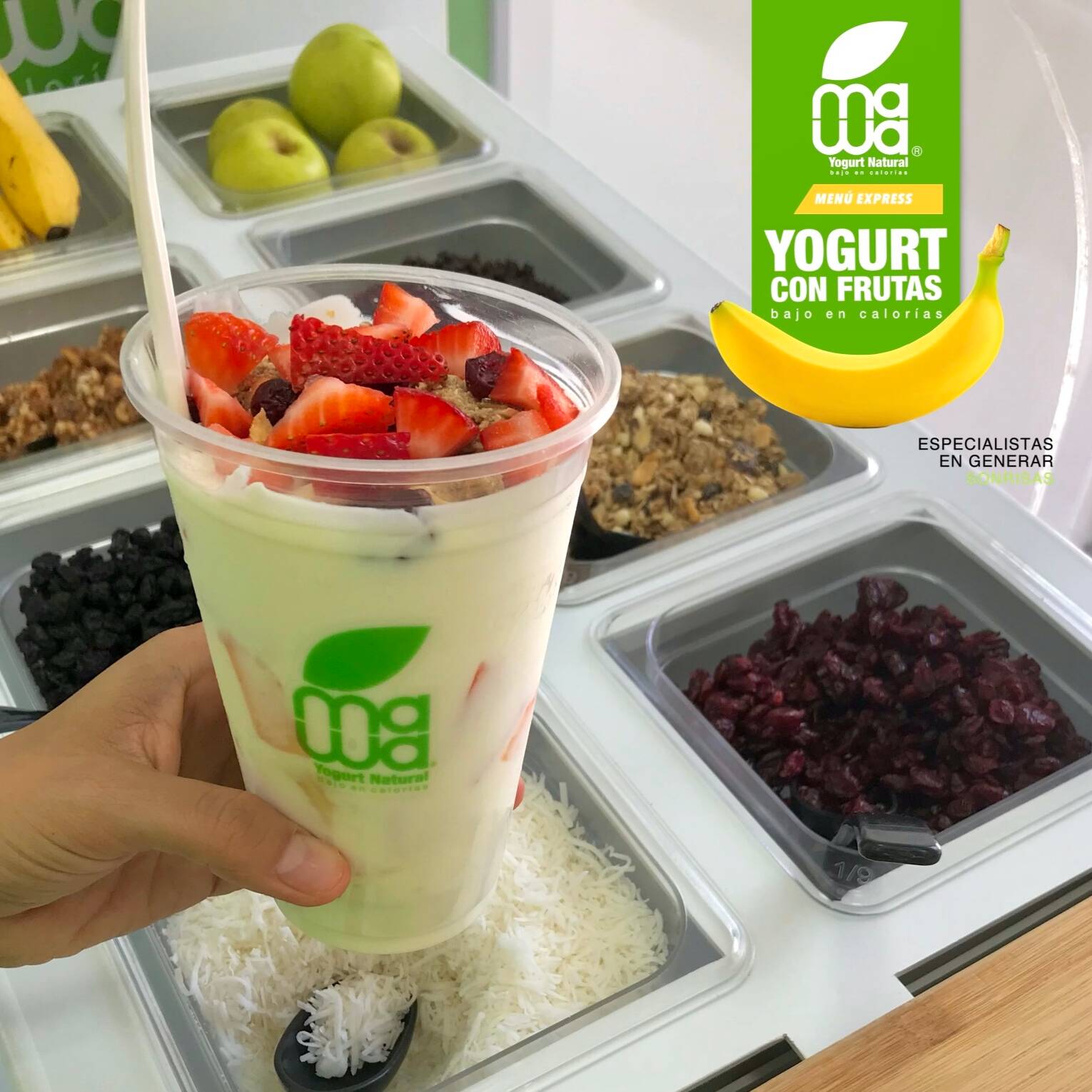 Yogurt con Frutas Mediano 14 oz