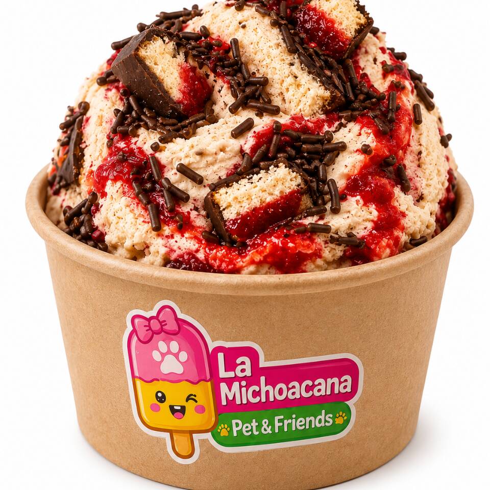 Helado Gansito 4oz 🍓🍫