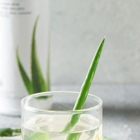 Aloe Herbalife