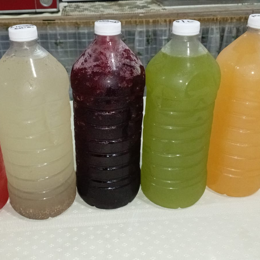 Aguas de Frescas 1 Lt.