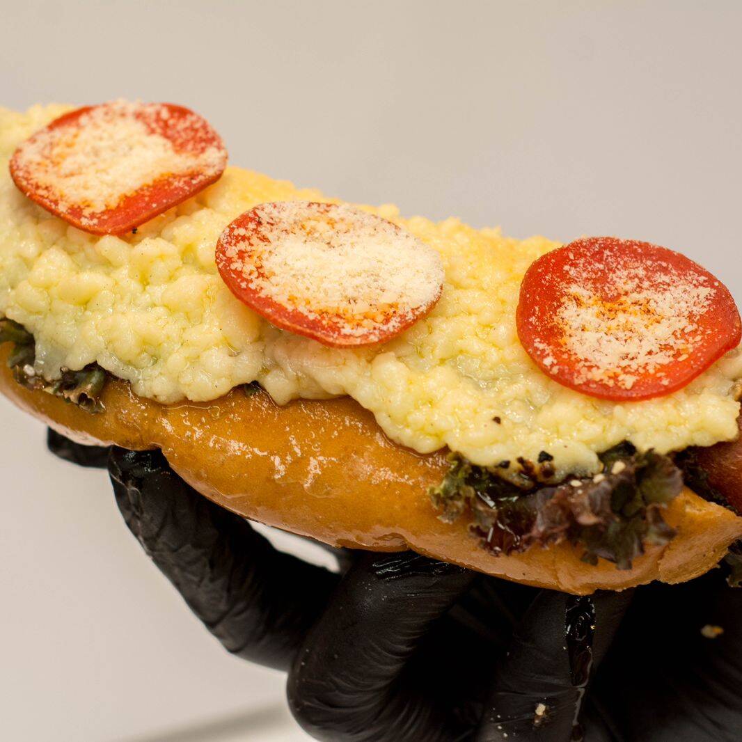Pizza Dog