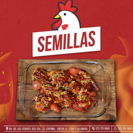 POLLO EN SALSA DE SEMILLAS||