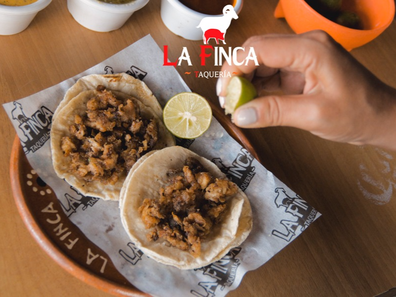Taco de tripa dorada
