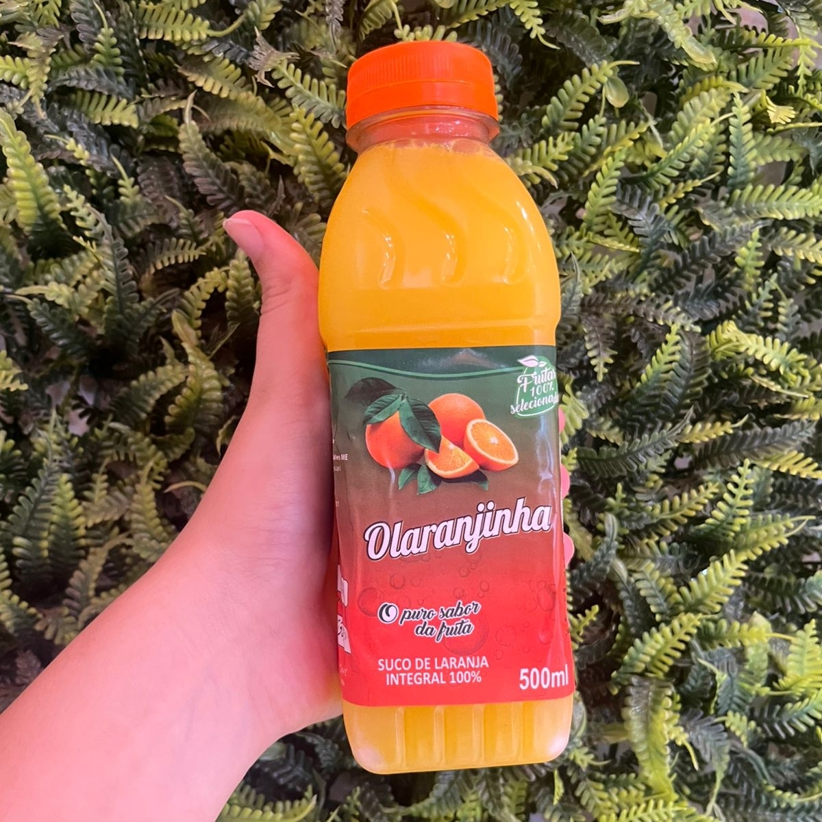 Suco de laranja integral Laranja O Puro Sabor da Fruta