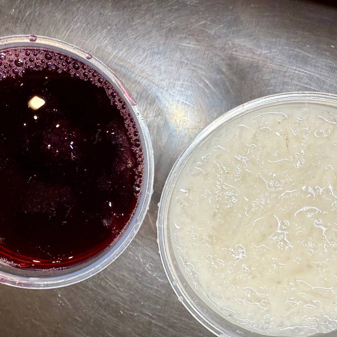 Agua fresca 1Lt.