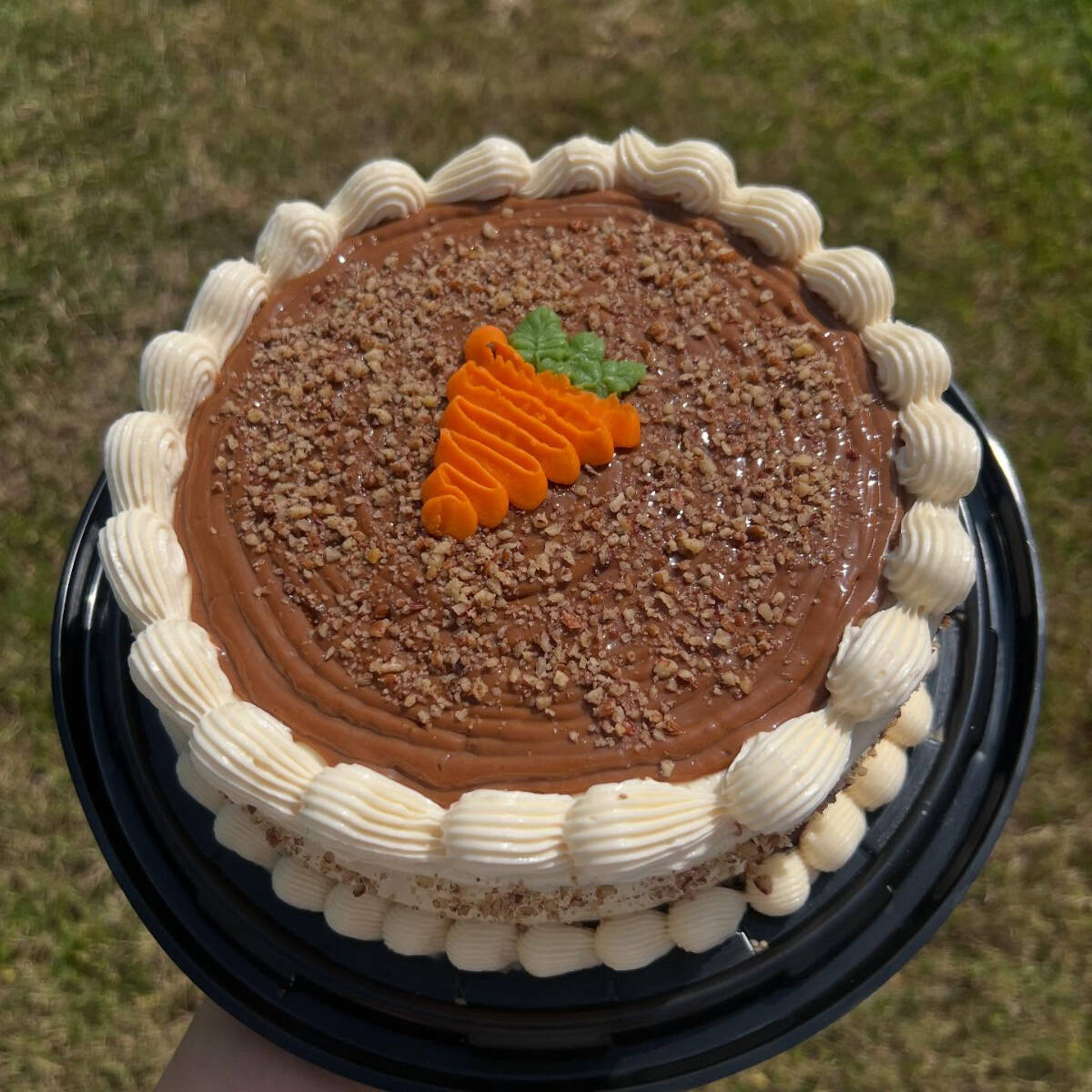 Pastel De Zanahoria