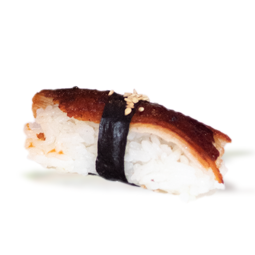 Nigiri Anguila