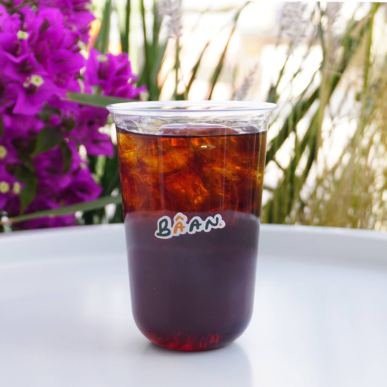 Cold Brew | Shaken