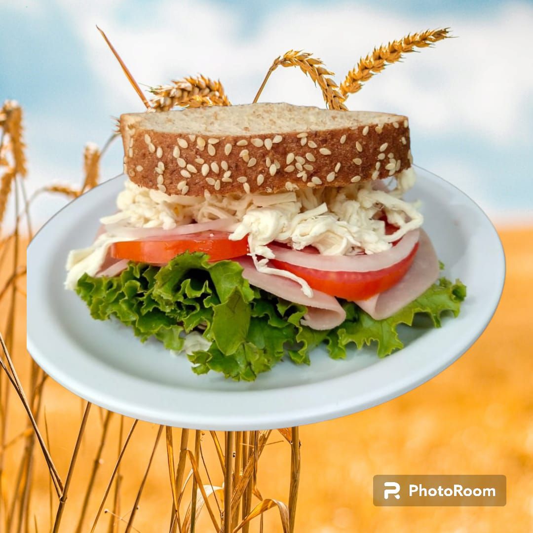 Sándwich de JAMÓN de Pavo