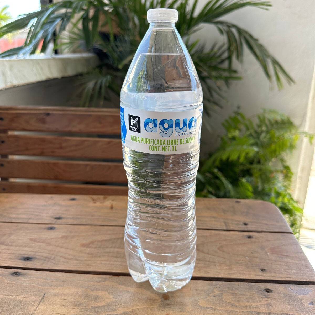 Agua Embotellada 1 Lt