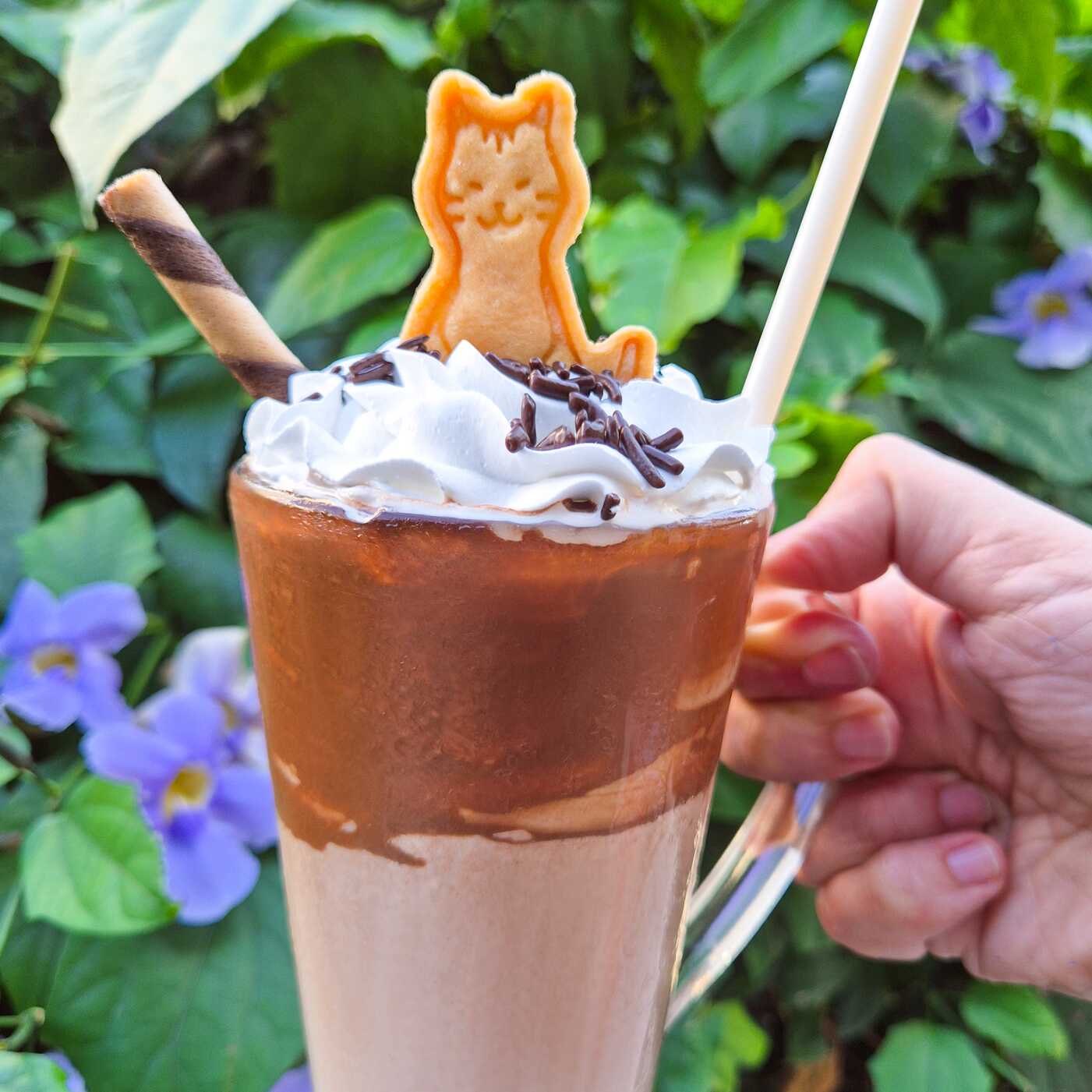 Sachifrappé