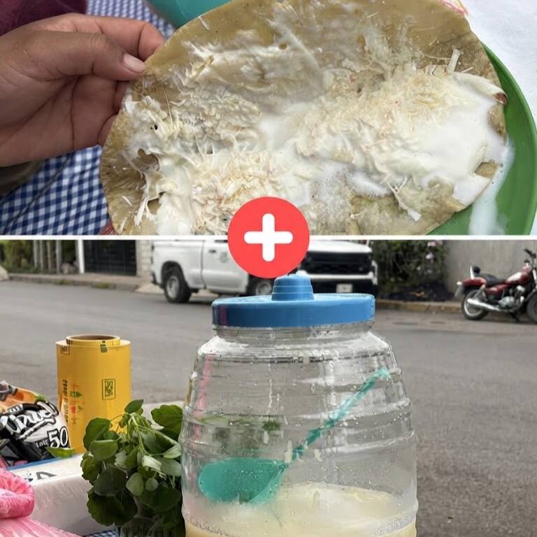 Quesadilla + Agua De 1/5 De Sabor