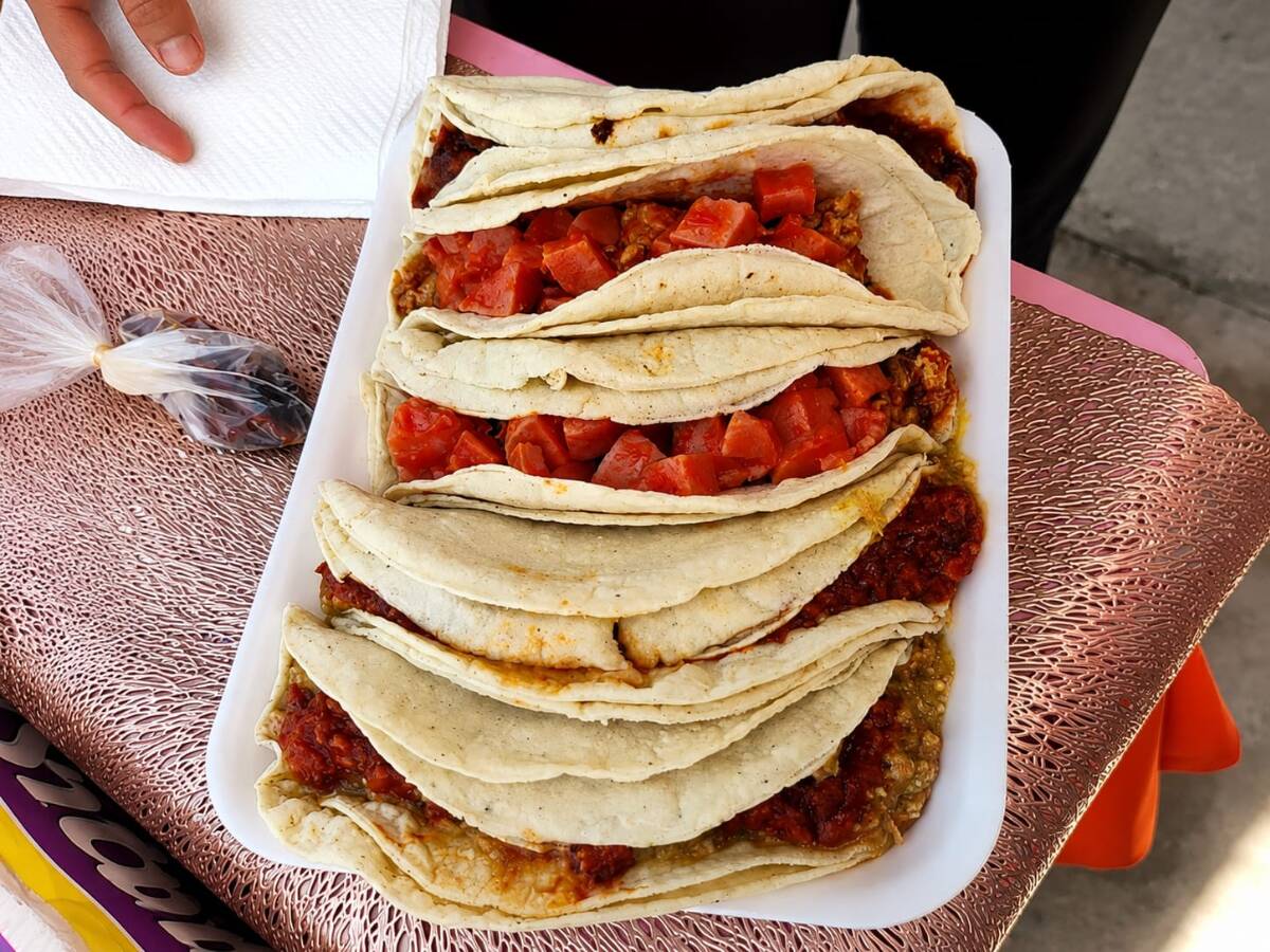 Tacos de colores Dany