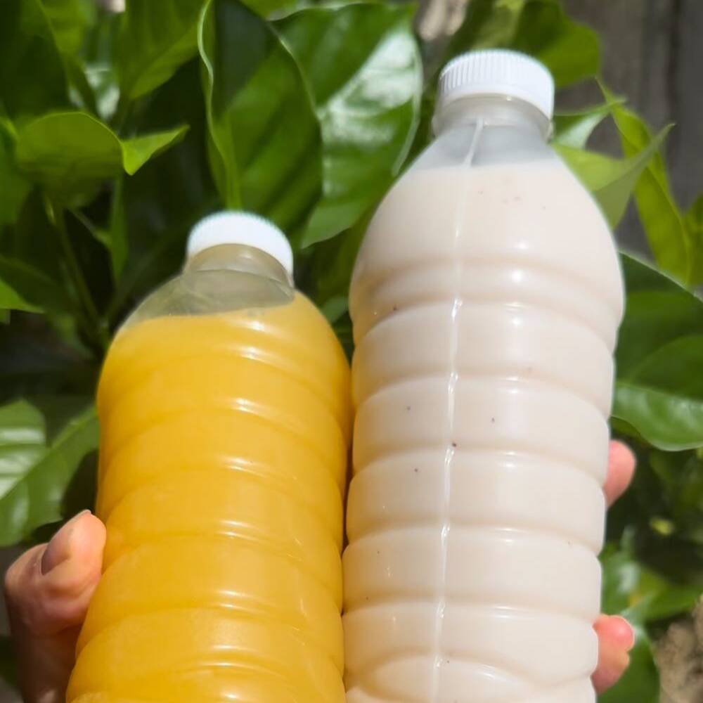 Agua Fresca 500 Ml