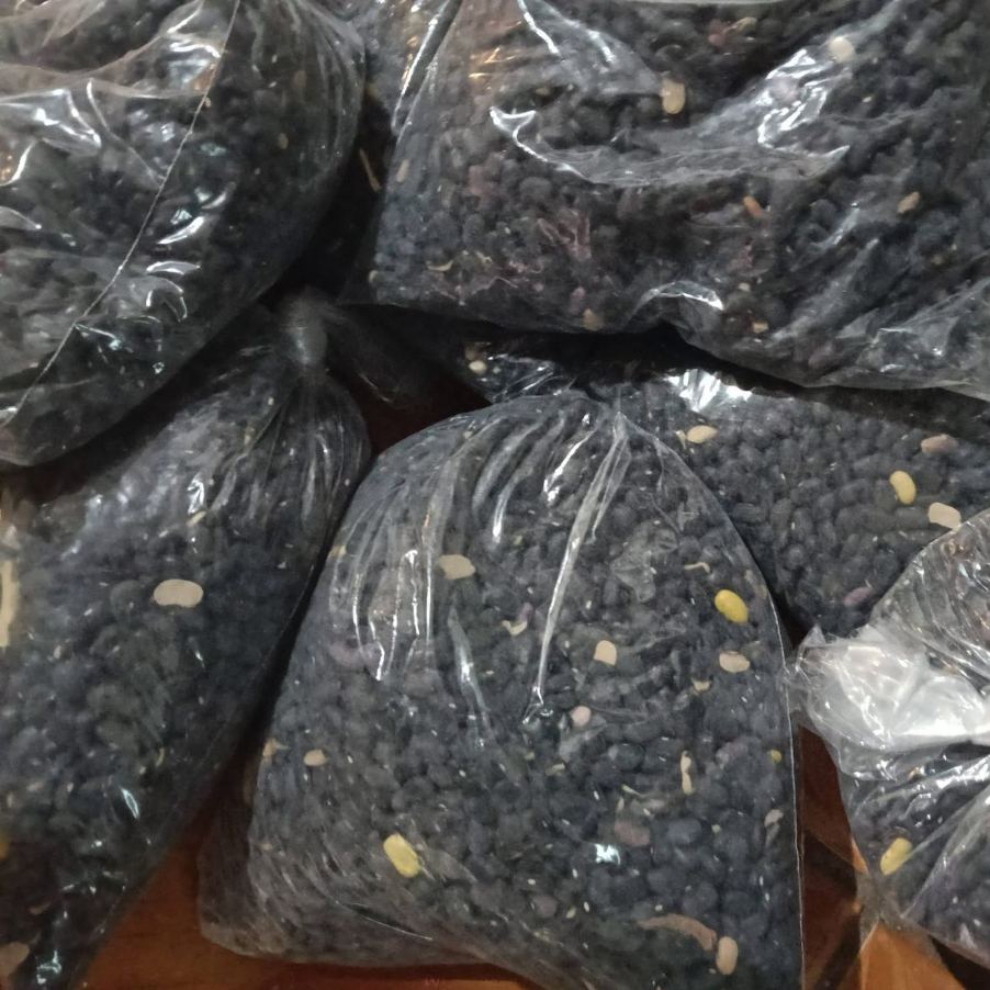 FRIJOL NEGRO