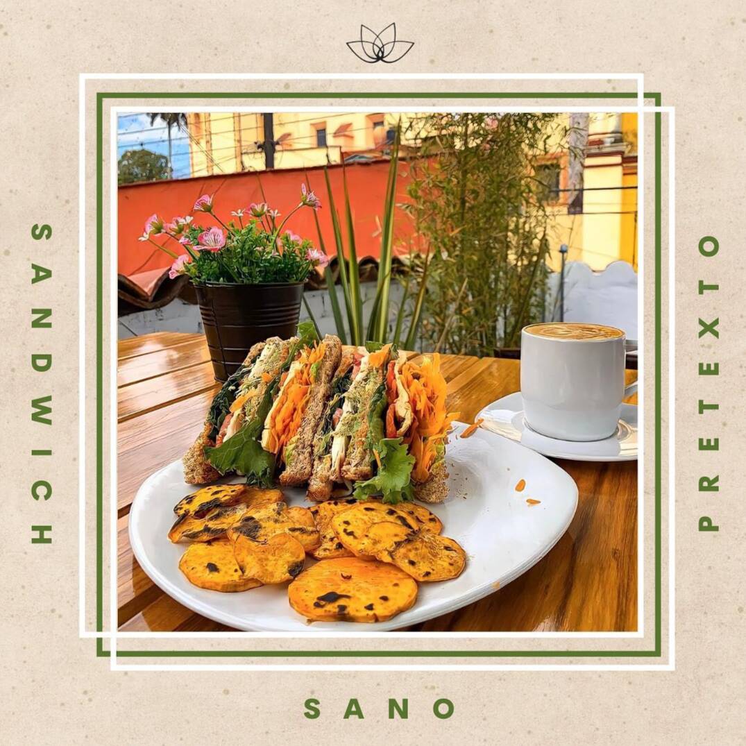 Sandwich Sano Pretexto